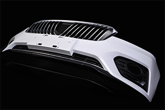Car grille design
